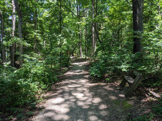 Trail with bench in Lake Davidson Nature Preserve