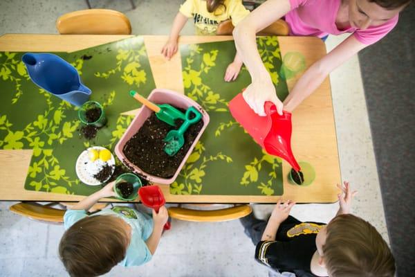 The Chickadees plant veggies for their garden.