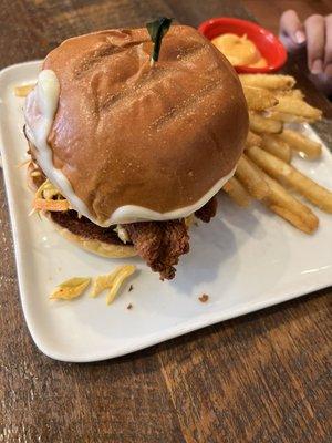 Spicy Fried Chicken Burger Lunch