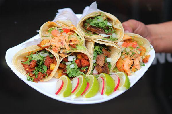 [Taco Platter] Al pastor taco, carnitas taco, and Fried Fish Tacos