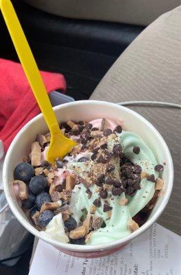 Vanilla Frozen Yogurt Chocolate Frozen Yogurt