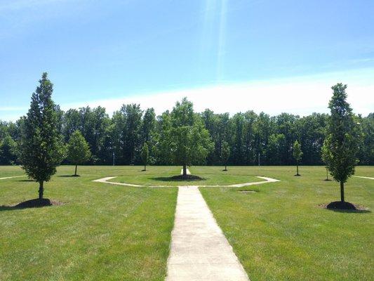 Back of St. Mary's, middle tree pays homage to a member of the community that passed away. Planted in his memory.