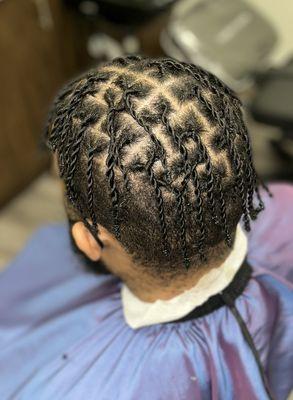 Starter Locs & Two strand style