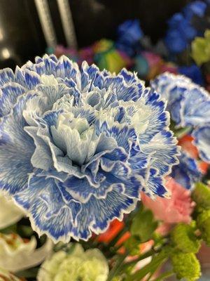 Blue carnations