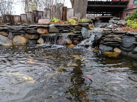 Waterfall at large koi pond