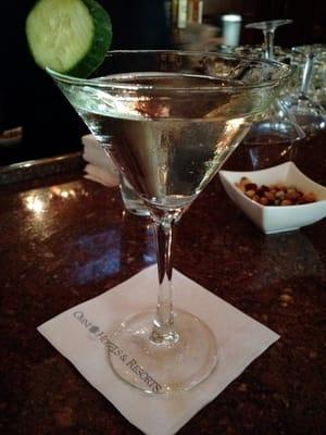 Botanical Martini