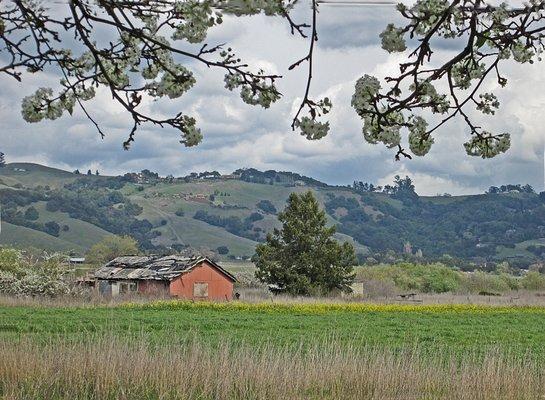 Our view of the Sonoma Mountains.