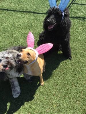 Cooper, Mona & Max after the Easter Egg hunt.