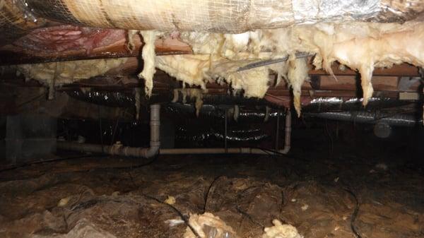 crawlspace before project started