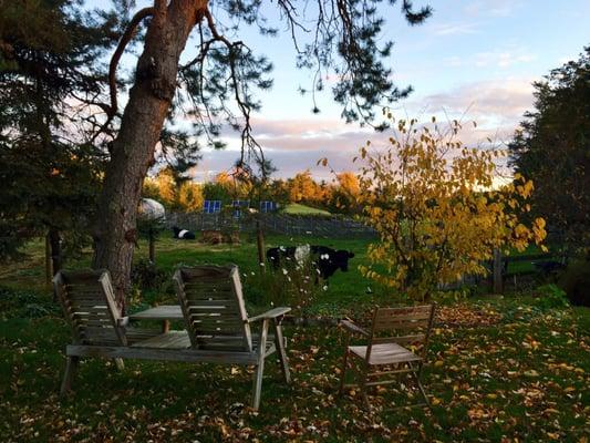 The view from the porch (breakfast is served outside on the porch during the warmer months!)