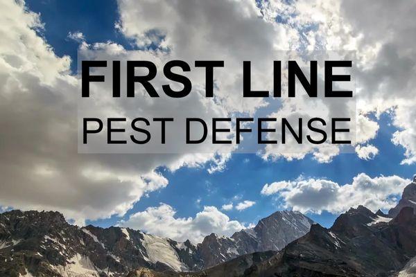 Welcome to FIRST LINE PEST DEFENSE