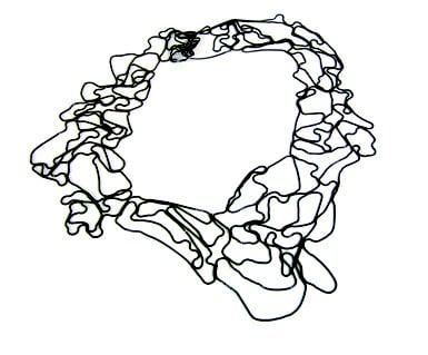 Topography Necklace