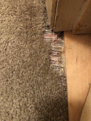 Carpets falling apart