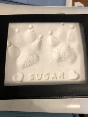 Clay paw print keepsakes available