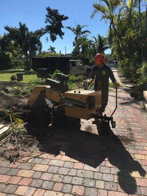 Stump Grinding