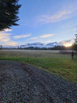 Looking across pasture