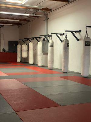 Punching bags for the Muay Thai class.