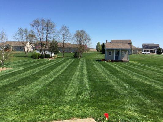 Grow Pros uses the highest quality fertilizer to make your lawn thick and lush.