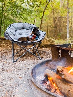 Camping (site #12) with pup