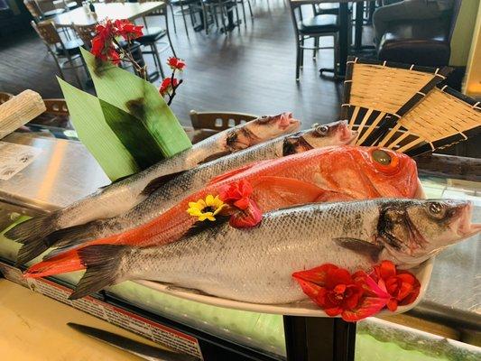 Bronzini( sea bass) and golden eye snapper.