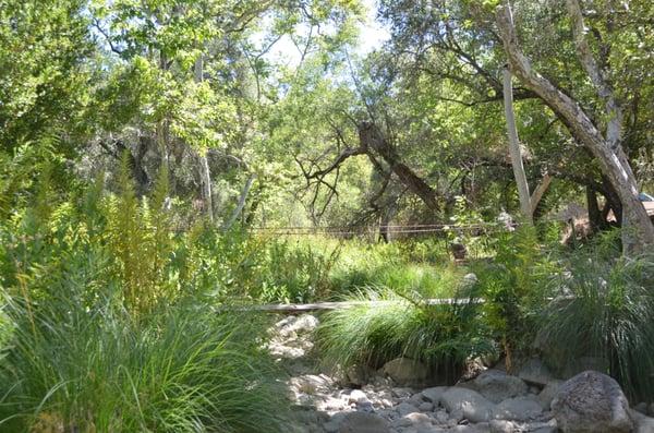 Franklin Creek at Camp Natoma
 Campers love exploring the creek and looking for soapstones.