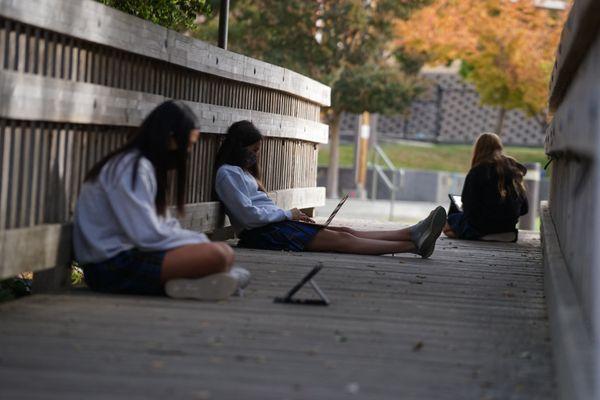 As an Apple Distinguished School, Hillbrook students learn with the latest in Apple technology - in a timeless natural setting.