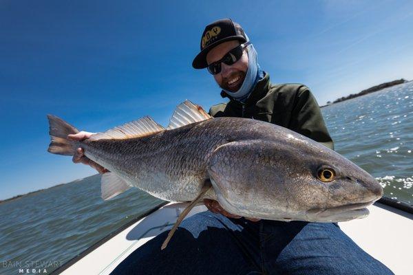 Redfish on Fly