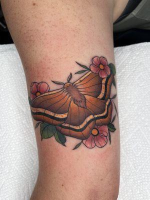 Moth by Meg