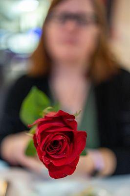 Complimentary V-Day Rose ($0)