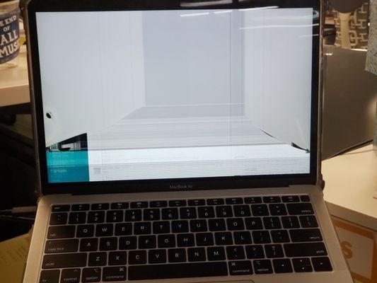 Their case for my new Macbook Air broke my screen when I tried to remove it.