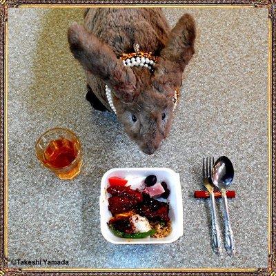 BEST FOOD SALAD BAR (pay-per-pound buffet at Jamaica Market Food Court. Queens, NY. Dr. Takeshi Yamada & Seara (Coney Island sea rabbit).