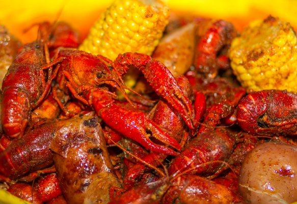 Crawfish Boil