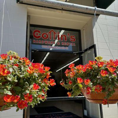 Pop in to Cottin's Hardware and pick up VVN plants!