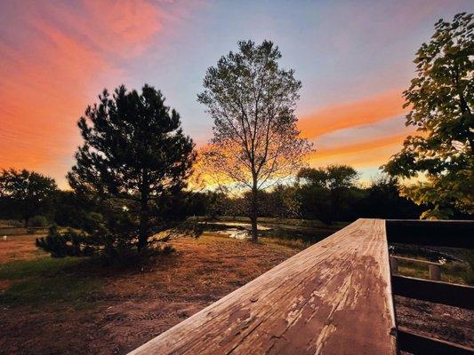 Beautiful garden during the dawn