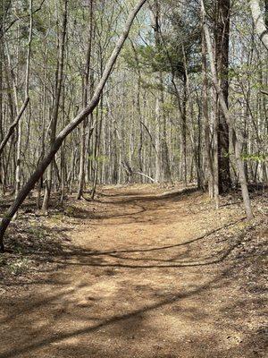 Hiking