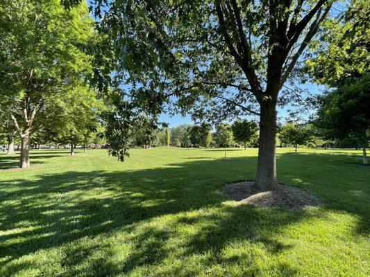 Topiary Park