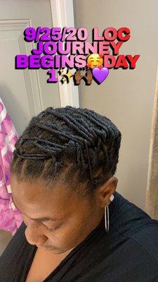 Starter Locs