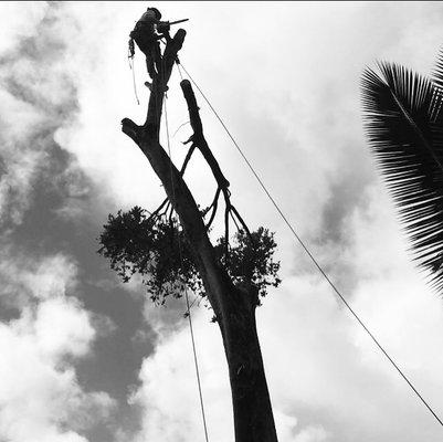 Eric rigging safely over a house on Kauai