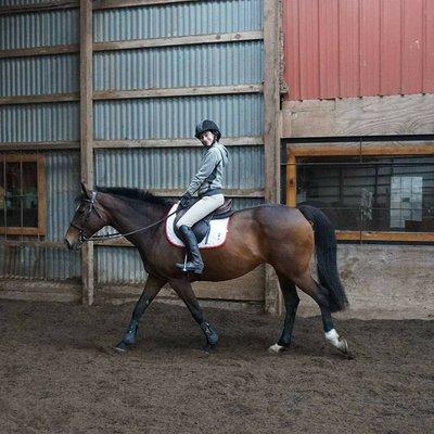 Cooling out with a smile after a great lesson.