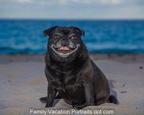 Miami Fort Lauderdale Florida family portrait photography by Bill Miller Photography. Serving Naples Ft Myers Captiva and Gulf Coast