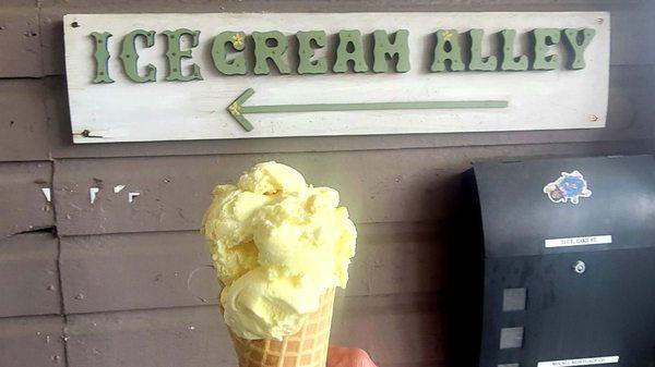 Single scoop of lemon pie Ice cream.