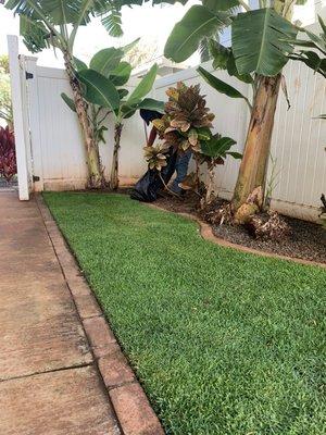 Mr. Tracy's yard at Ewa Beach! Grass was planted two weeks ago!