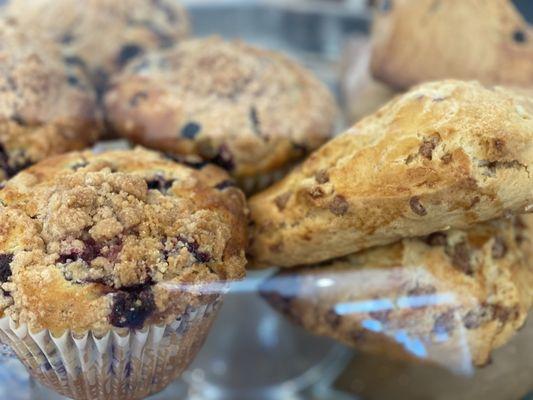 Blueberry muffins and scones