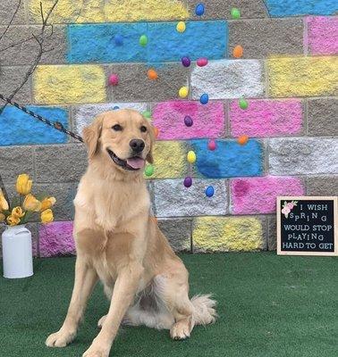 April's day camp photo shoot!