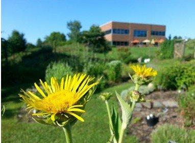 Maryland University of Integrative Health and gardens