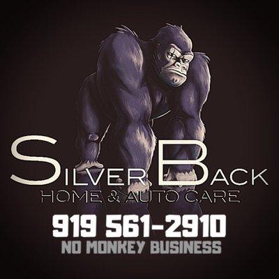 Silver Back Home & Auto Care