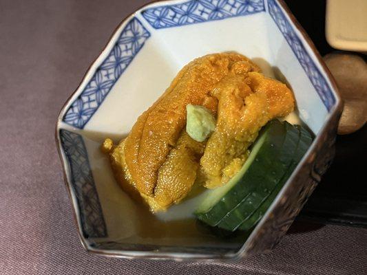 Sea urchin: mid-flight snack