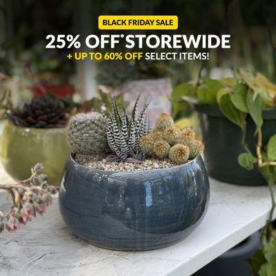 25% Off