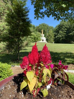 Even the flowers look sacred here...