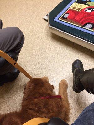 They even have pretty rugs on the exam tables- a friendly touch that helped our dog get her sea legs once the table was raised!